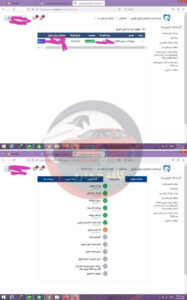 207 پانا رینگ